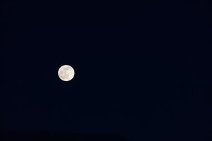 20201229Moon027.jpg